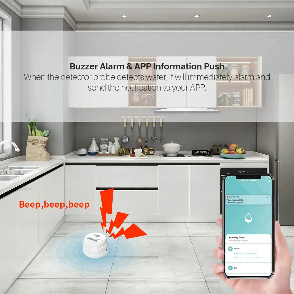 Smart Water Leakage Sensor, Support WiFi, With Alarm