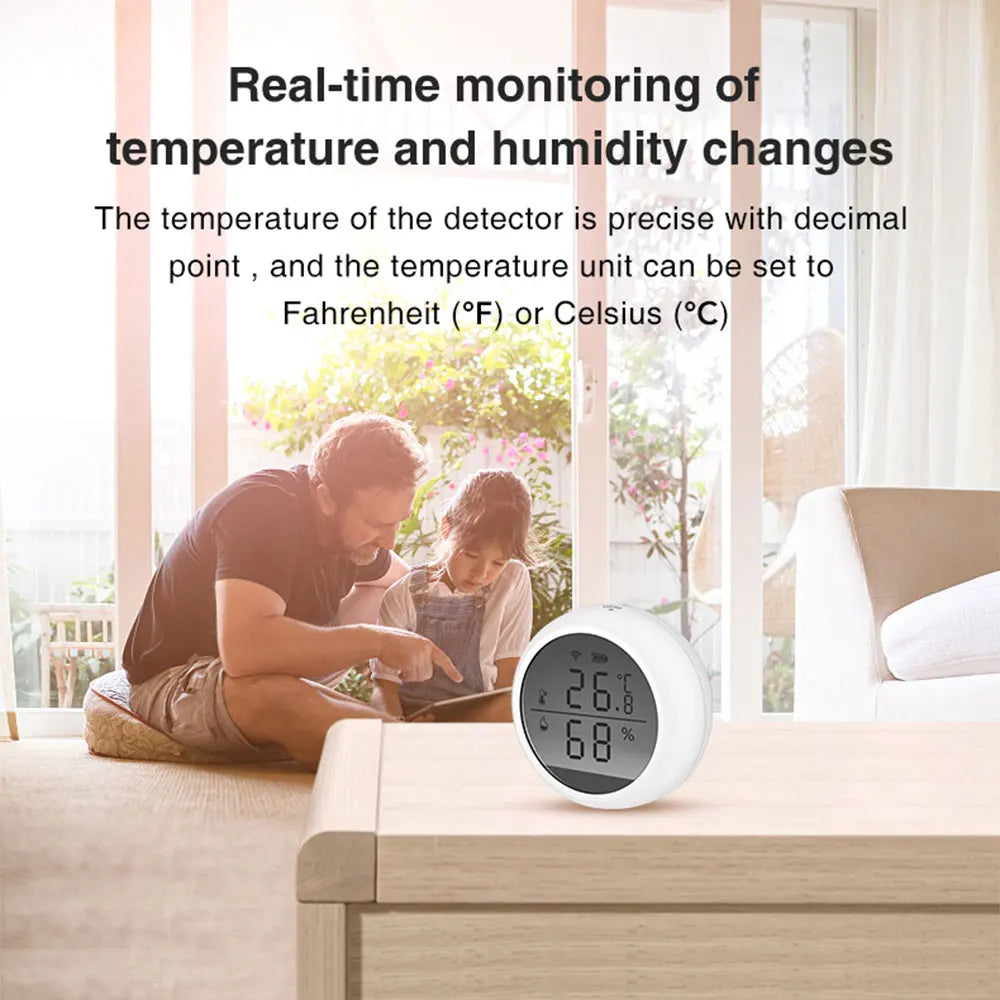 Temperature Humidity Sensor Wi-Fi, With Screen, With Buzzer