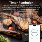 SONOFF BMT01 Wireless BBQ Meat Thermometer Real-Time Temp Chart Timer Reminder Remote Monitoring Temperature Alerts via eWeLink