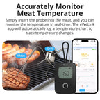 SONOFF BMT01 Wireless BBQ Meat Thermometer Real - Time Temp Chart Timer Reminder Remote Monitoring Temperature Alerts via eWeLink - Revel Smart