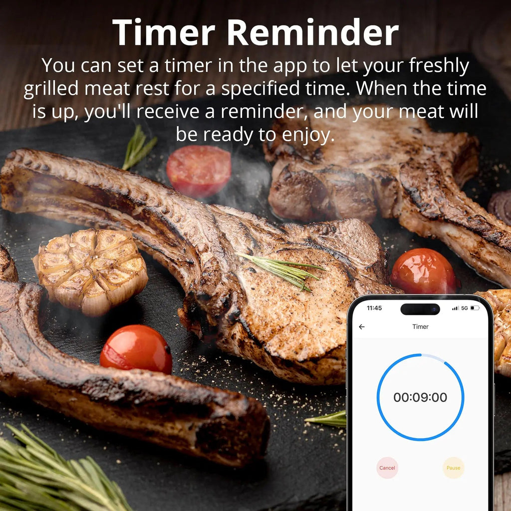 SONOFF BMT01 Wireless BBQ Meat Thermometer Real - Time Temp Chart Timer Reminder Remote Monitoring Temperature Alerts via eWeLink - Revel Smart
