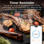 SONOFF BMT01 Wireless BBQ Meat Thermometer Real - Time Temp Chart Timer Reminder Remote Monitoring Temperature Alerts via eWeLink - Revel Smart