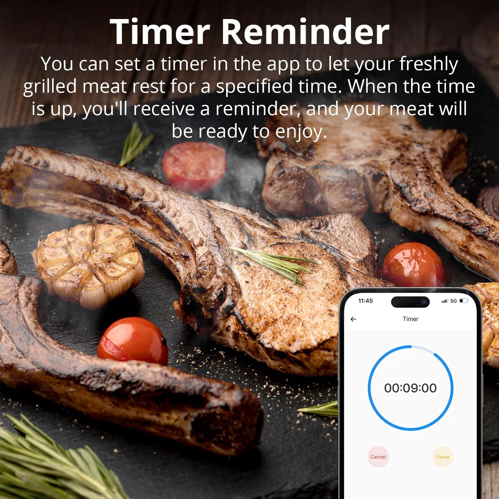 SONOFF BMT01 Wireless BBQ Meat Thermometer Real - Time Temp Chart Timer Reminder Remote Monitoring Temperature Alerts via eWeLink - Revel Smart